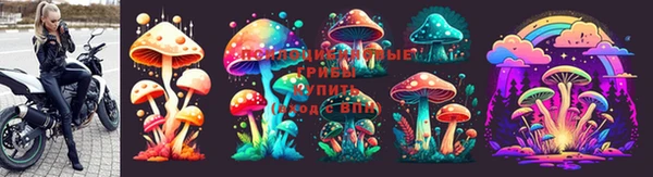 синтетический гашиш Гусь-Хрустальный