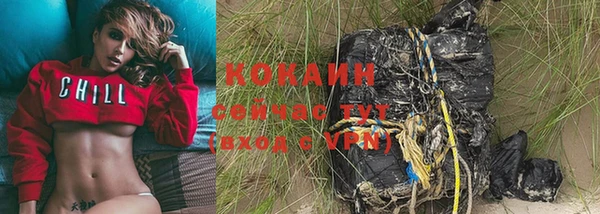 прущий лед Гусев
