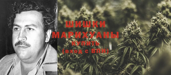 прущий лед Гусев